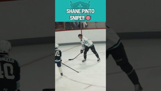 Shoulder Check Snipe!