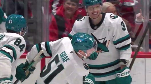 San Jose Sharks Offseason Outlook