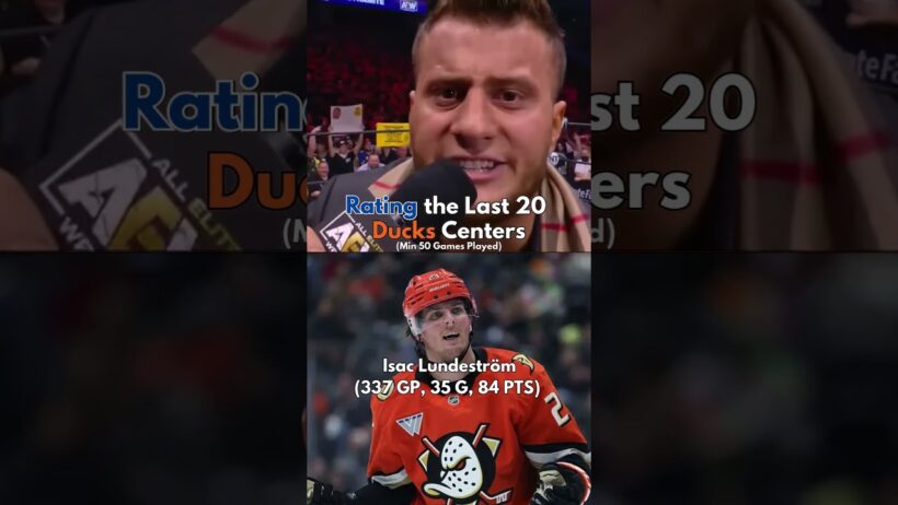 One meme for the Last 20 Anaheim Ducks centers #hockey #nhl #nhlhockeyislife