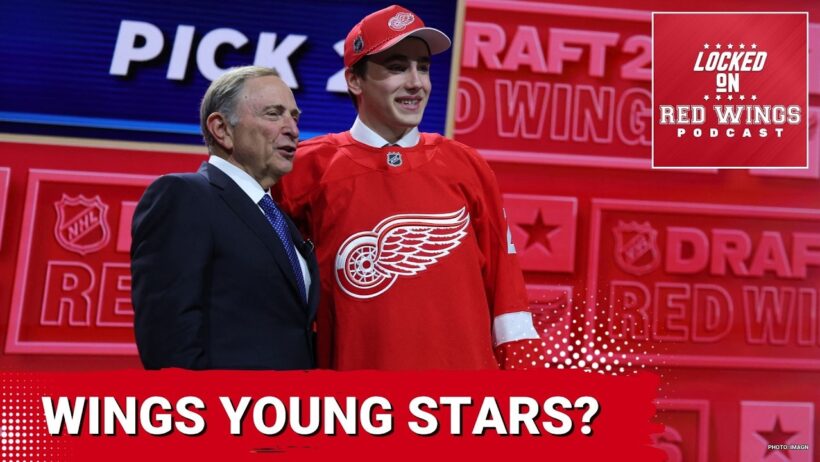 CANDIDATE Cuts? Red Wings GM Search INTENSIFIES & Player Rankings LACK Red Wings
