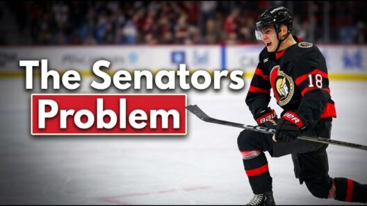 The NHL Is Wrong About The Ottawa Senators…