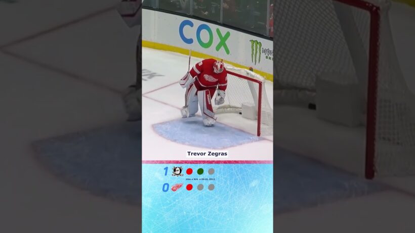 Ducks vs Red Wings  Shootout! 🚨🥶